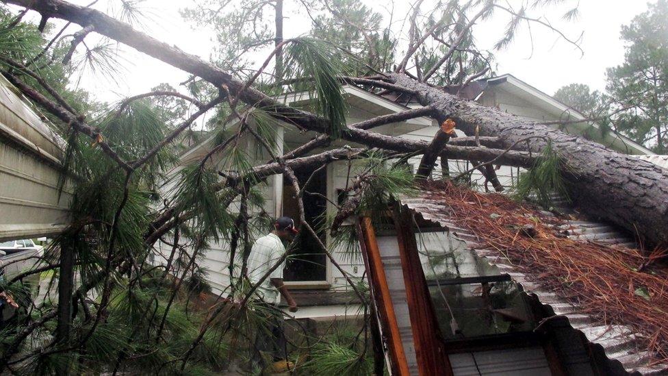 Melvin Gatlin Jr. walks to the back door of his father's house in Valdosta, Ga., beneath a pine tree that crashed onto the roof, Friday, Sept. 2, 2016.