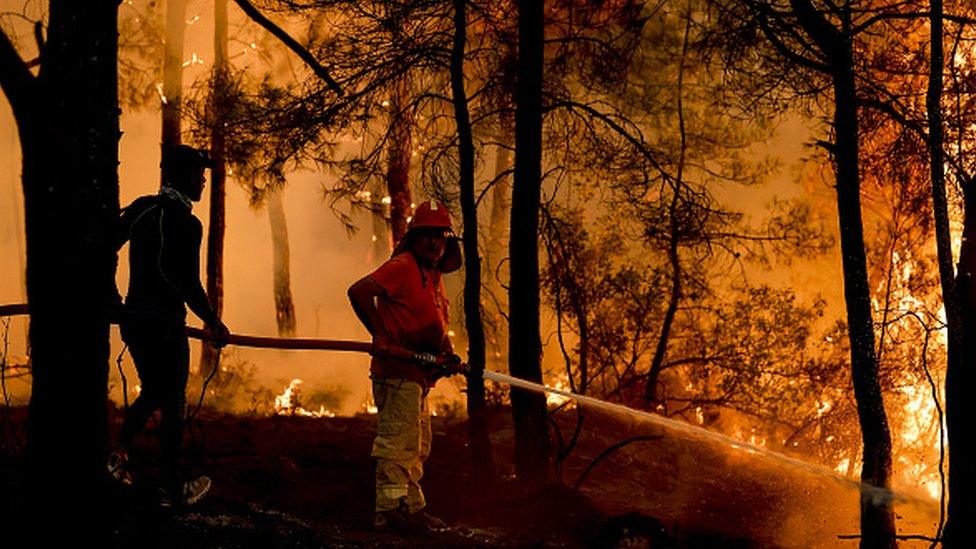 Firefighters battle forest fires in Antalya on 1 August, 2021