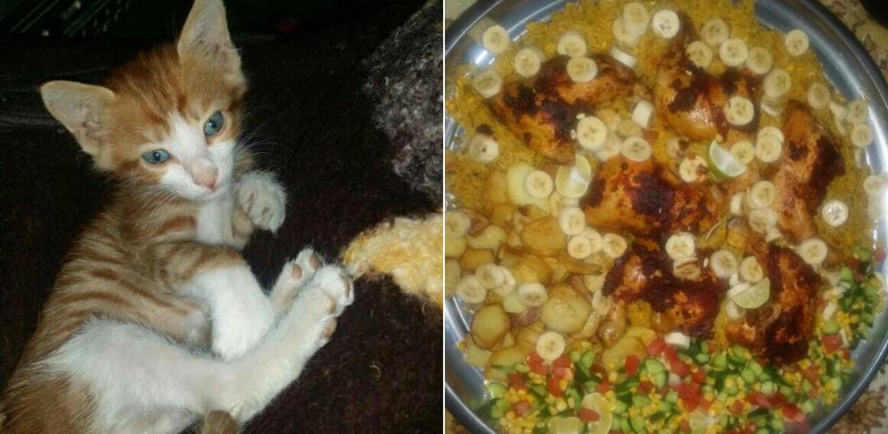 Abu Taubah's pictures - his cat, and the Somali food he ate