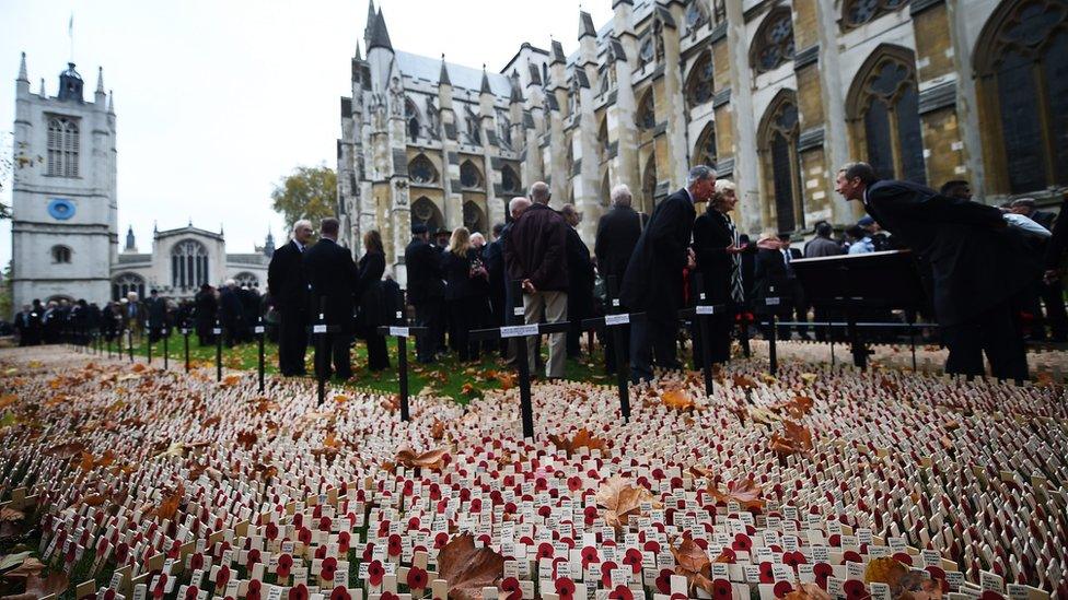 Westminster Abbey Field of Remembrance