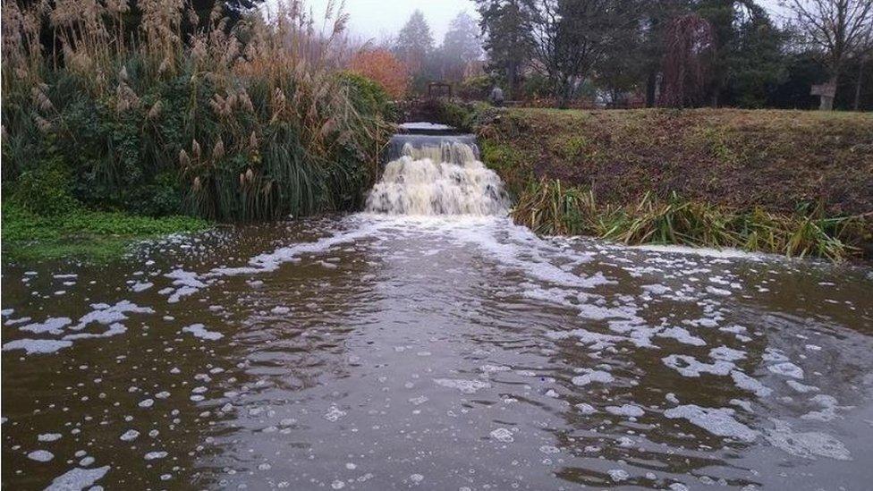 Water course at the Bishop's Palace in Wells