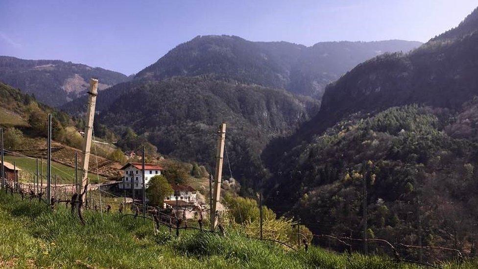 Planggn vineyard in Glen/Gleno