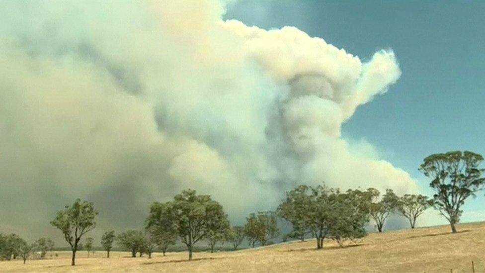 NSW fire