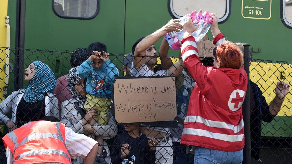 A Red Cross volunteer passes bottles of water over a fence to migrants next to a train in Hungary