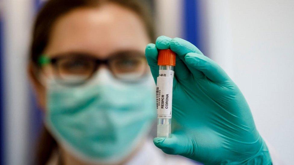 Swab sample being tested in Hamburg lab, April 2020