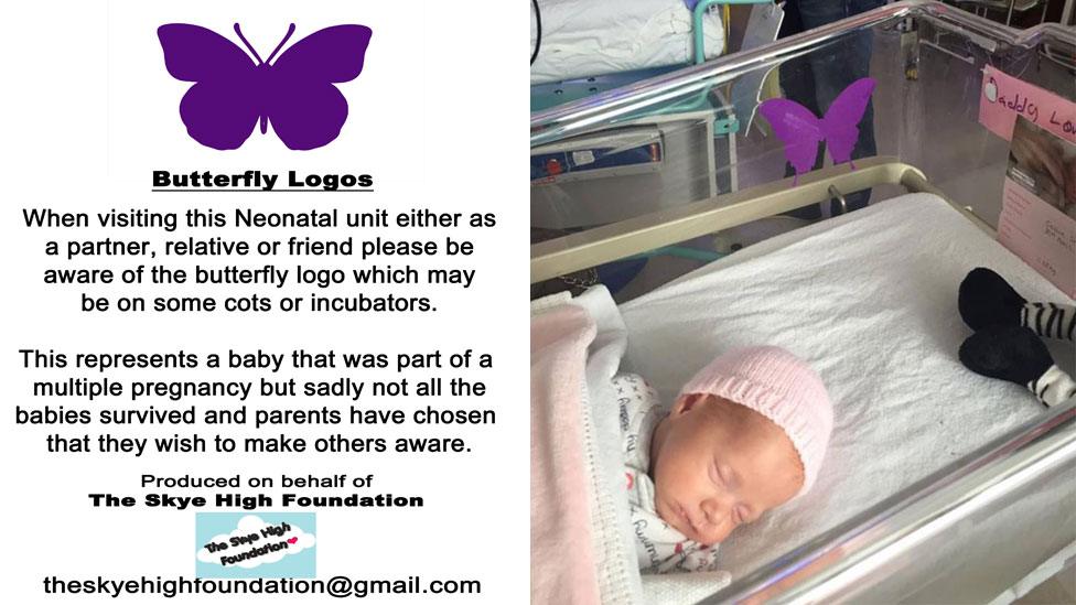 Butterfly logo poster and Callie in a cot