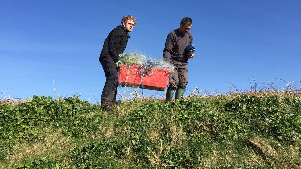 Carrying nets