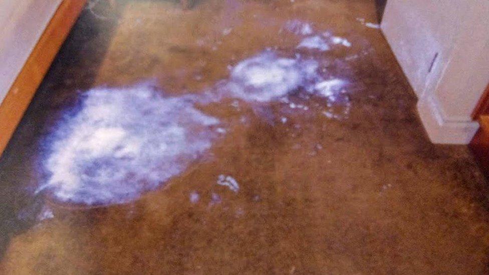 Undated handout photo issued by Auckland City Police showing the use of luminol to highlight the alleged blood stains on the floor of the apartment