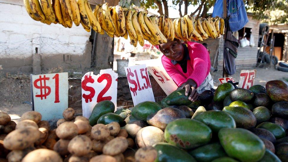 A street vendor near Harare, Zimbabwe - November 2019