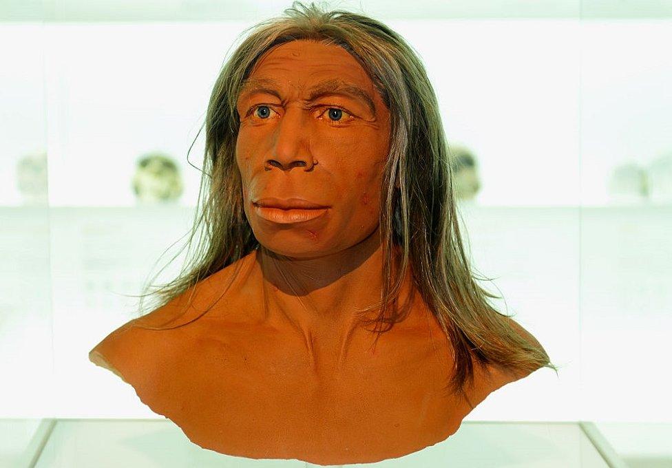 Neanderthal