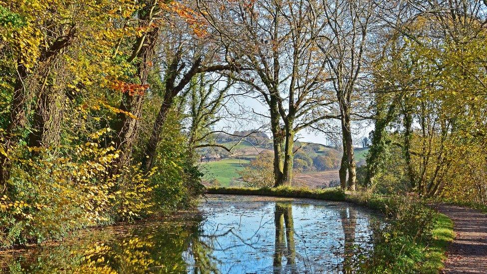 Monmouthshire and Brecon canal towpath