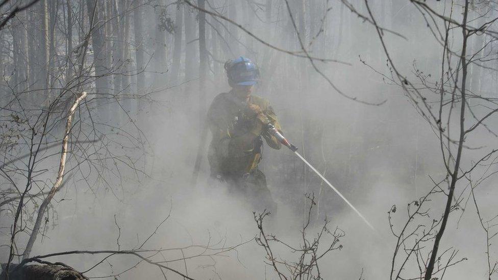 A member of Alberta's Wild Mountain Unit hoses down hotspots in the Parsons Creek area of Fort McMurray, Alberta (07 May 2016)