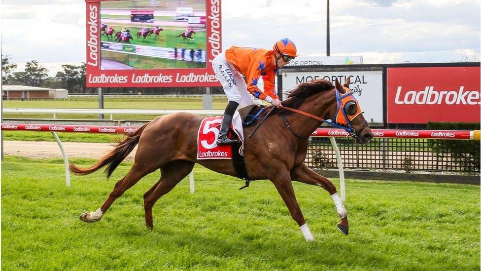 Golden Gee ridden by Ben Allen wins the Ladbrokes Cash In BM58 Handicap at Moe Racecourse on September 24, 2019 in Moe, Australia