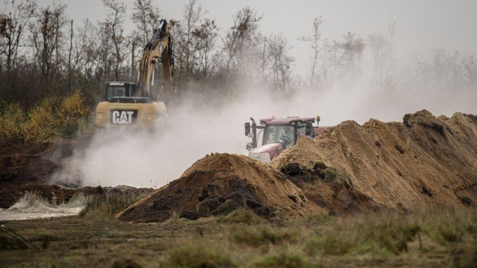 Members of Danish health authorities assisted by members of the Danish Armed Forces dispose dead mink in a military area near Holstebro in Denmark, 09 November 2020