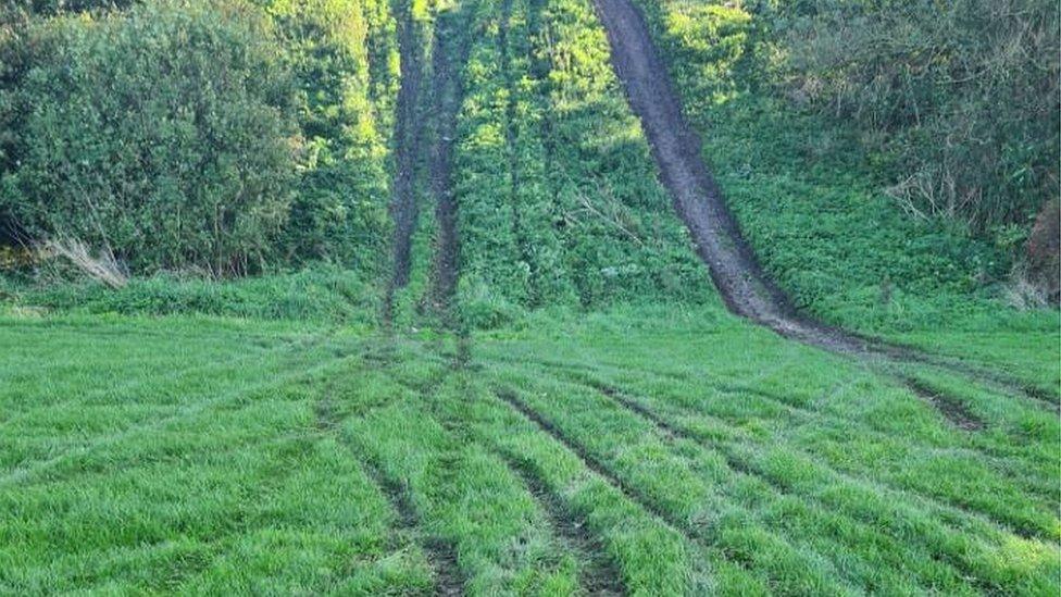 Tyre tracks on football pitch