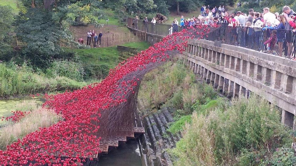 Poppies at Yorkshire Sculpture Park