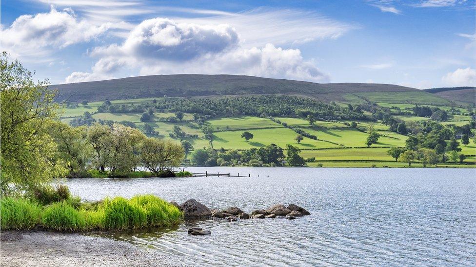 Llyn Tegid is a large freshwater glacial lake in Gwynedd, Wales