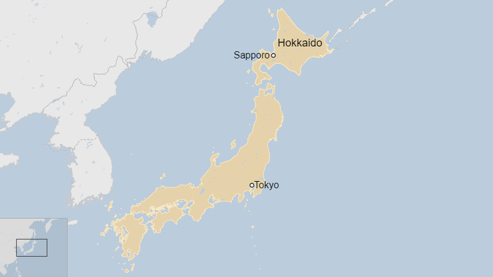 Asian black bears are found on Japan's main island, while more ferocious brown bears populate its northern island Hokkaido