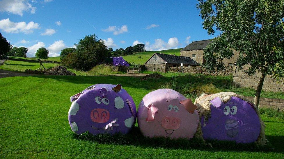 Pig bales