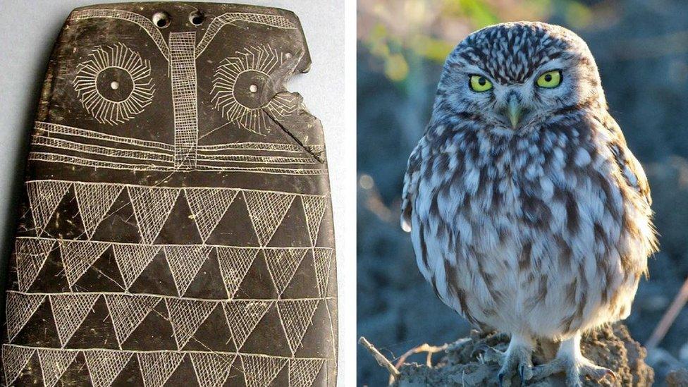 Owl engraving and owl