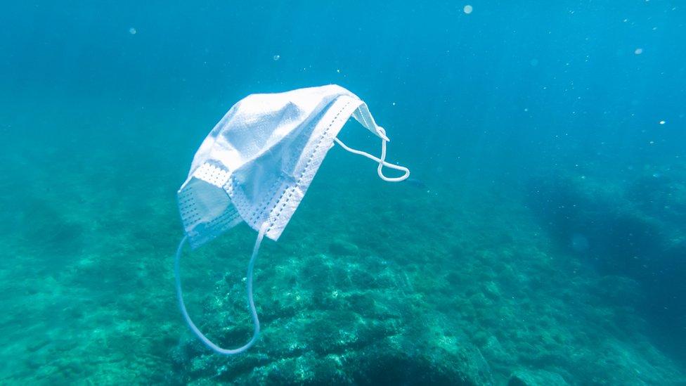 face mask in ocean