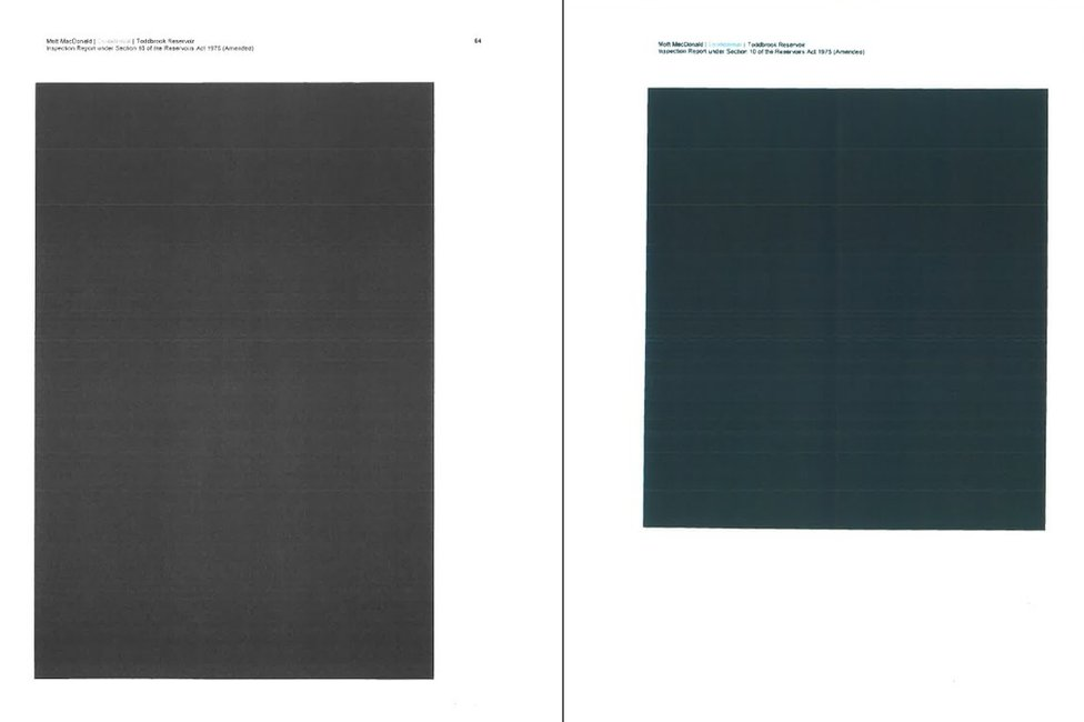 Pages from inspection report