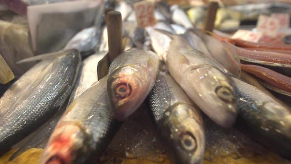 Fish for sale in Hong Kong