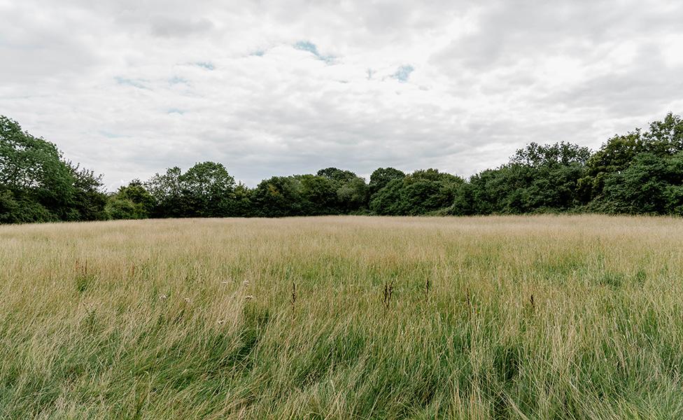 Mellis Common, Suffolk