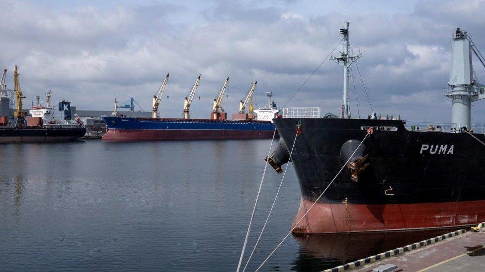 A general view of a grain terminal in Odesa