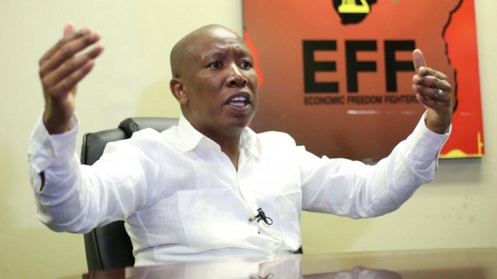 Julius Malema, the head of South Africa's ultra-left Economic Freedom Fighters party (EFF), gestures during an interview with Reuters on 20 July, 2017.