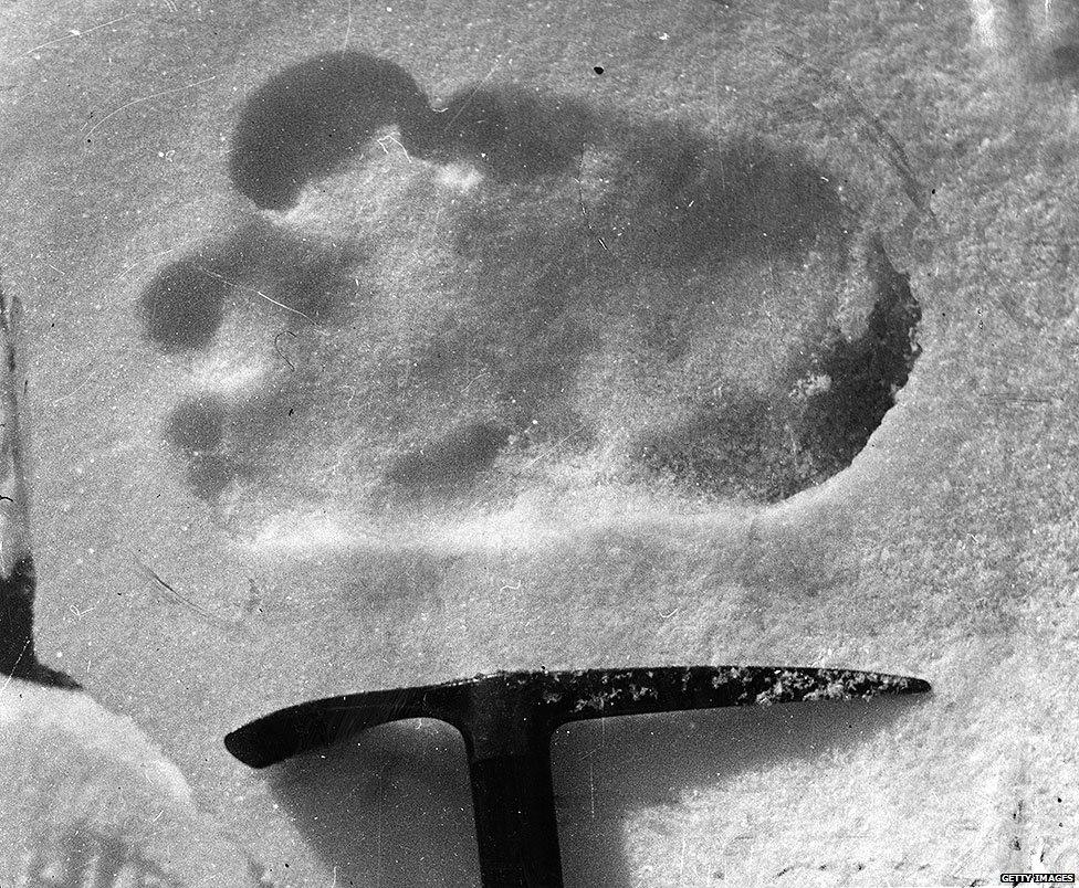 Yeti footprint