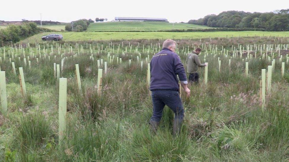 Image of work on land near River Faughan