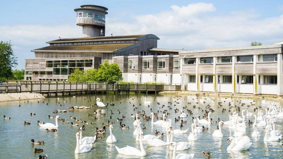 Slimbridge Wetland Centre with a host of birds in front of it in a pond