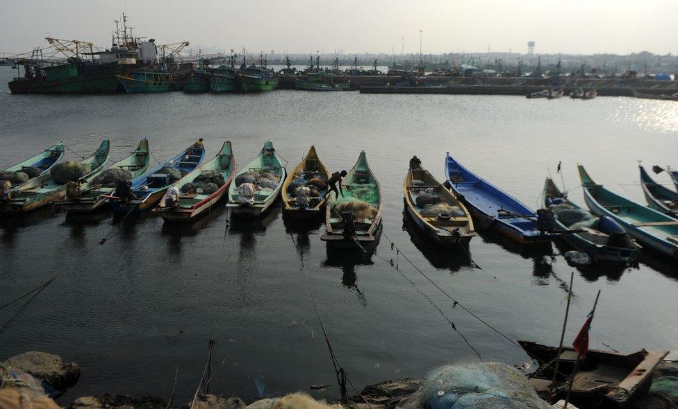 Representational image: boats anchored in the Chennai harbour