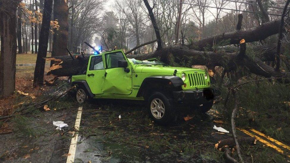 Police say this Massachusetts driver suffered minor injuries after a tree fell on him