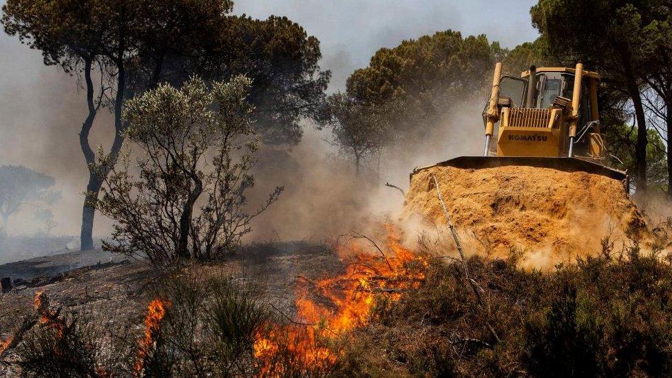 Fires in Portugal