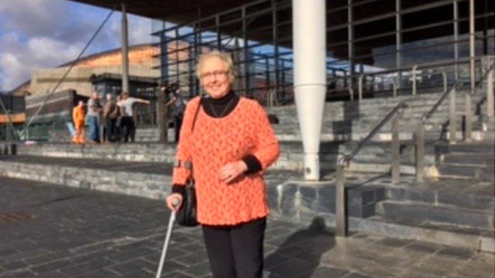 Sue Cox at the Senedd