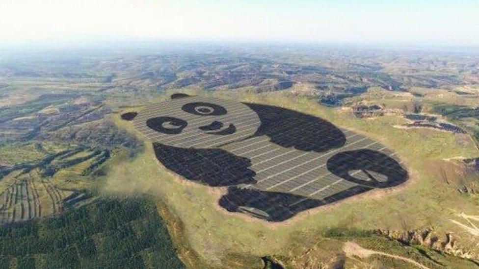 Panda solar farm in China