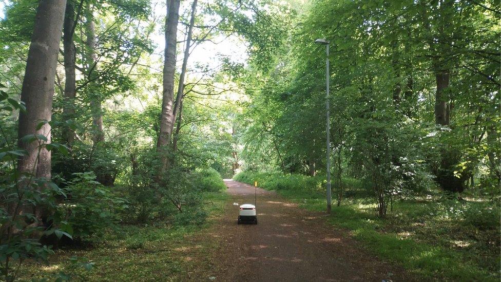 Delivery robot in Lings Wood, Northampton