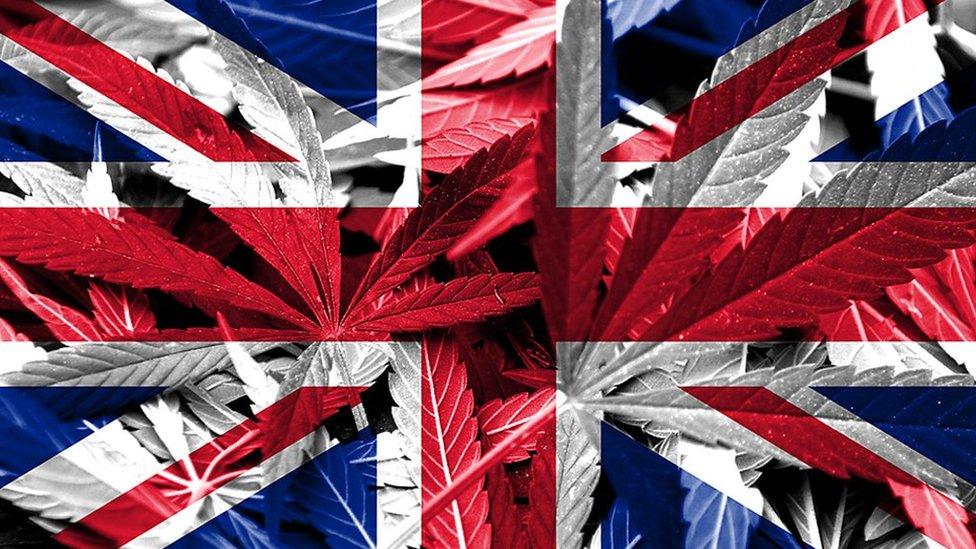 Cannabis leaves on a Union Flag