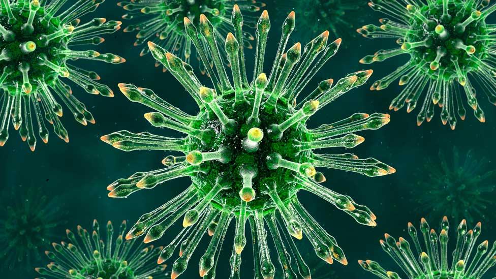 Computer artwork showing the HIV virus