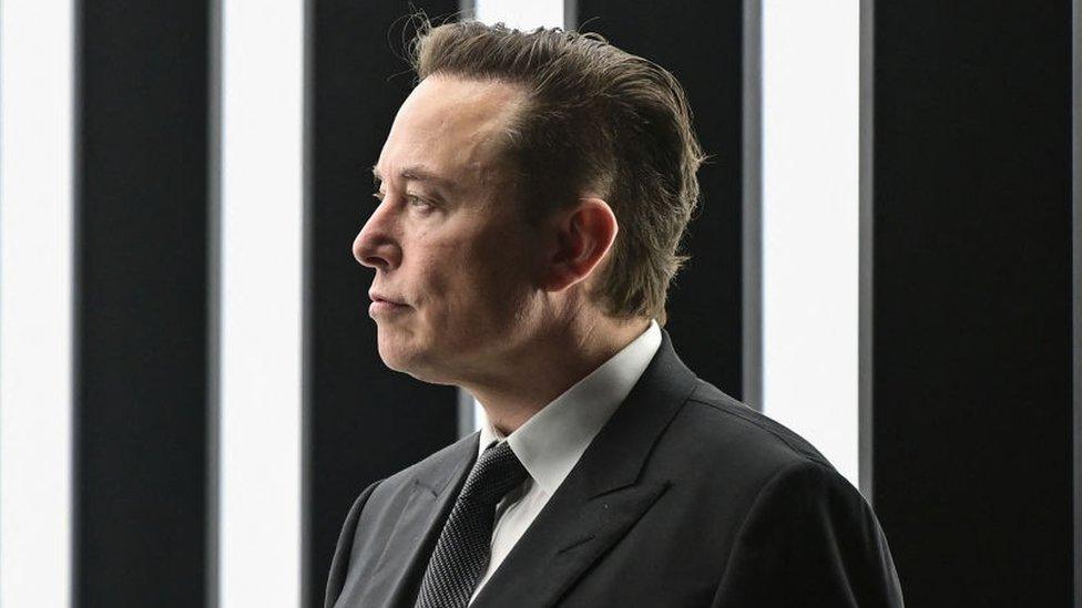 Tesla chief executive Elon Musk.