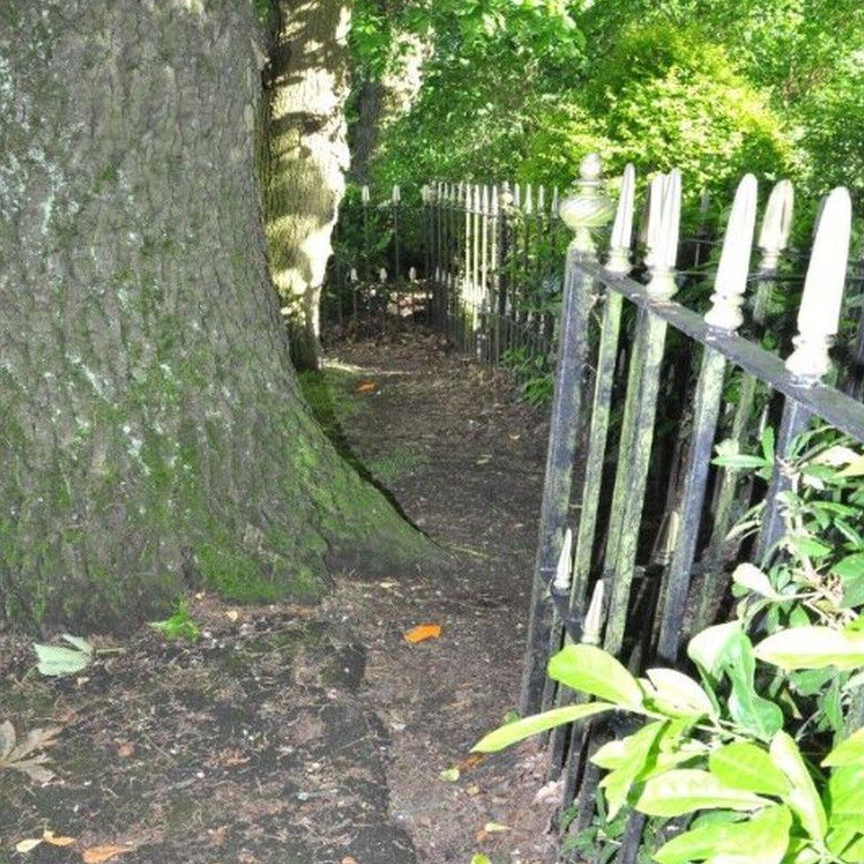 The tree in Manor Park where it is thought the birth took place