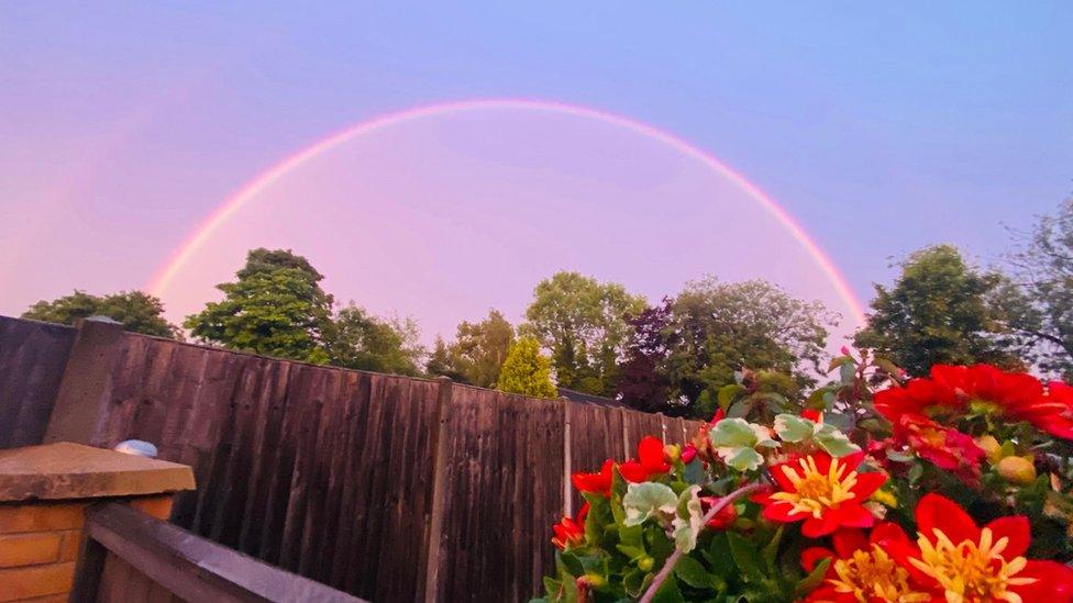 A pink and yellow rainbow above a back garden