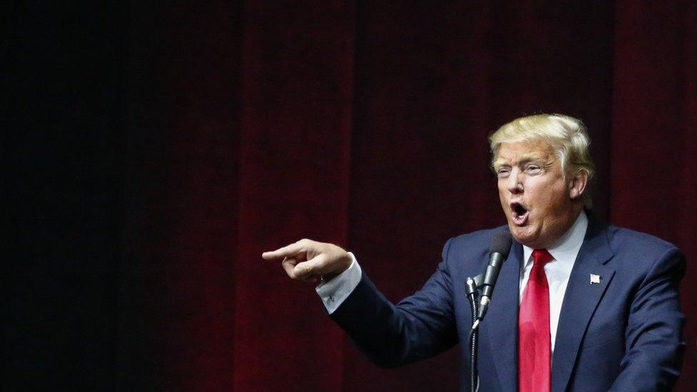 Donald Trump addresses a rally in Bethpage, Long Island, New York (6 April 2016)