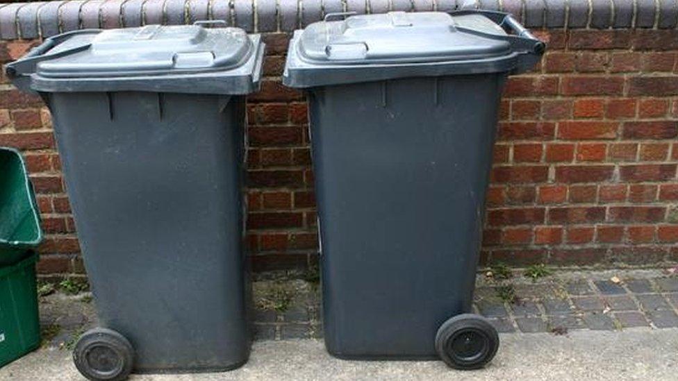 Wheelie bins