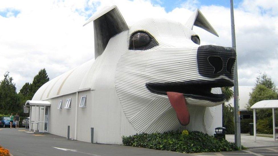 dog house