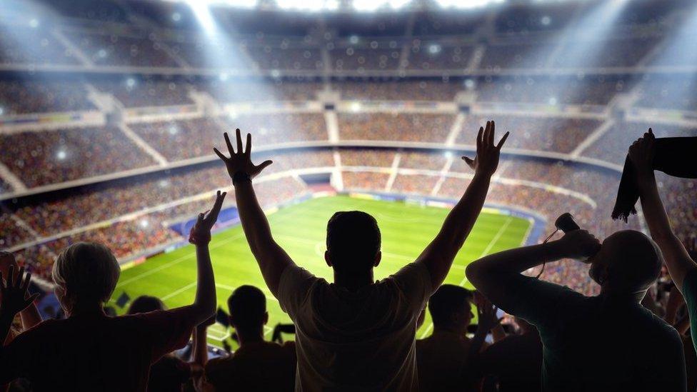 Fans in the stands of a stadium with the pitch visible in the background