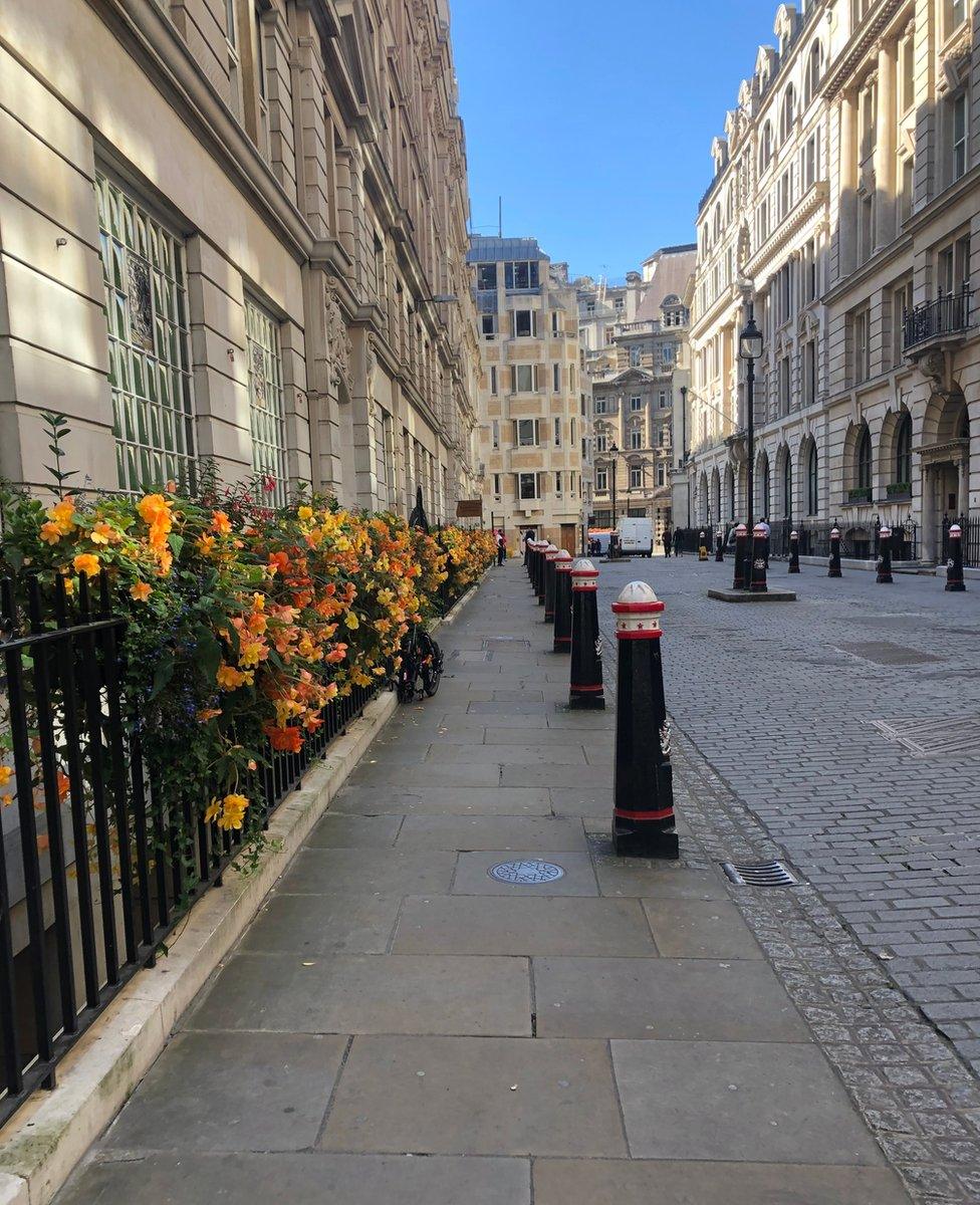 Street lined with flower boxes