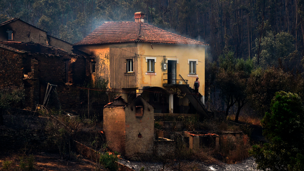 Fire near Alvares, Portugal, June 2017